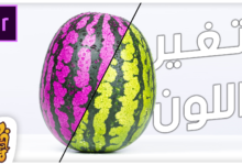 تغير لون جسم معين في الفيديو الي أي لون مختلف ( ثابت او متحرك ) | Change Color in Premiere Pro CC